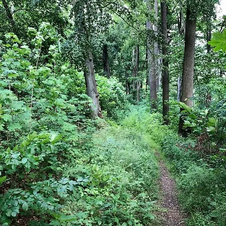 Happy Fuchsbau * Kurort Kipsdorf